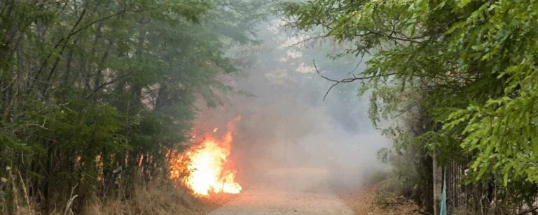 Ηράκλειο: Πρόστιμα για παράνομη καύση υπολειμμάτων καλλιεργειών