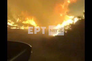 Περιπολικό περνά μέσα από φλόγες στον Μαραθώνα: Κινδύνευσαν αστυνομικοί!