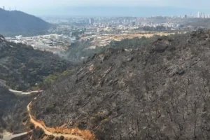 19 πυρκαγιές μέσα σε τρεις ημέρες στην Τουρκία, χωρίς ενεργό μέτωπο η Σμύρνη – Επτά συλλήψεις