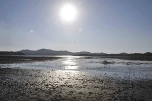 Στέρεψε ο Σπερχειός, νεκρά ψάρια στη λίμνη Κορωνεία