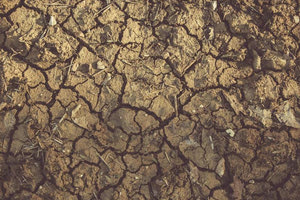 Η κρίση νερού λόγω της κλιματικής αλλαγής απειλεί την παγκόσμια παραγωγή τροφίμων