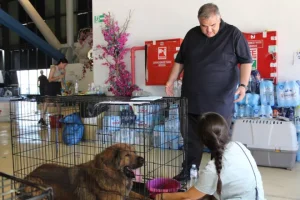 Βασίλης Σπανάκης: Διασώθηκαν πάνω από 200 ζώα συντροφιάς στις περιοχές που είχαμε πυρκαγιές