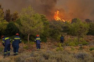 Πυροσβεστική: 72 αγροτοδασικές πυρκαγιές το τελευταίο 24ωρο σε όλη τη χώρα