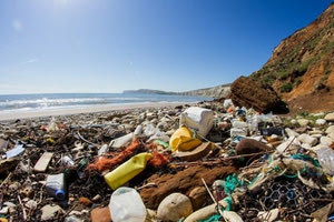 Μεσόγειος: Κολυμπώντας παρέα με τα πλαστικά