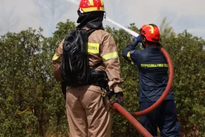 Φωτιά στους Στόλους – Άμεση επέμβαση της Πυροσβεστική