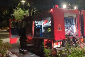 Φωτιά τώρα στο Φυτόκο Μαγνησίας: Μεγάλη κινητοποίηση από την πυροσβεστική