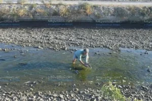 Θεσσαλία: Συγκινεί συμπολίτης προσπαθώντας να σώσει ψάρια που σπαρταρούν στη λίμνη Κάρλα