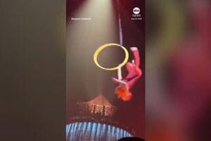 ΗΠΑ: Σοκαριστικό ατύχημα σε τσίρκο – Ακροβάτισσα έπεσε στο κενό (βίντεο)