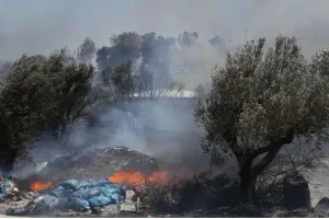 Διδάκτορας πανεπιστημίου συνελήφθη για τέσσερις εμπρησμούς στην Βάρη