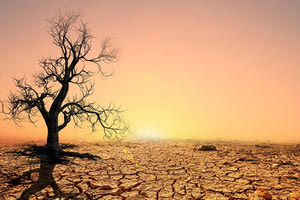 Εφιαλτικά σενάρια για την άρδευση στον δήμο Γόρτυνας