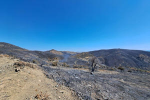 Μέτρα για τη στήριξη των πυρόπληκτων του Αμαρίου ζητά η Λαϊκή Συσπείρωση Κρήτης