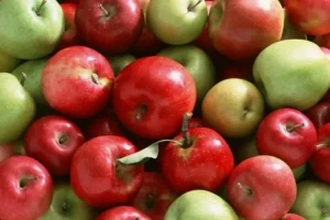 Κρουσώνας: Την Κυριακή η 10η Γιορτή Μήλου