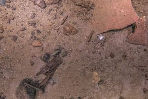 Το χαμένο άγαλμα της Νταϊάνα των Βερσαλλιών που βυθίστηκε μαζί με τον Τιτανικό, βρέθηκε στον πυθμένα