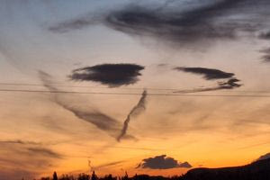 Ένα υπέροχο πορτραίτο της φύσης!