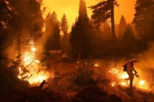 Σε κατάσταση έκτακτης ανάγκης κηρύχθηκε το Λος Άντζελες