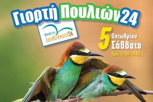 Η Γιορτή Πουλιών στην Εκθεση του Μουσείου Φυσικής Ιστορίας Κρήτης