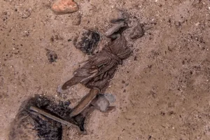 Τιτανικός: 112 χρόνια μετά βρέθηκε «χαμένο» μπρούτζινο αγαλματίδιο