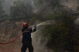 Ρέθυμνο: Πυρκαγιά σε ορεινό σημείο στις Καρίνες
