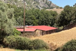 Πυροβολισμός κτηνοτρόφου στο Ρέθυμνο: Αφαιρέθηκε η σφαίρα από τον 69χρονο