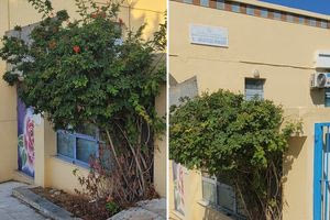 Υπηρεσία Πρασίνου Δήμου Ηρακλείου: Καλλωπισμός και συντήρηση σε όλα τα σχολεία