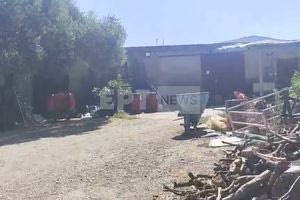 Ρέθυμνο: Πώς συνδέουν οι Αρχές την επίθεση με καυστικό υγρό με την άγρια απόπειρα δολοφονίας του κτηνοτρόφου