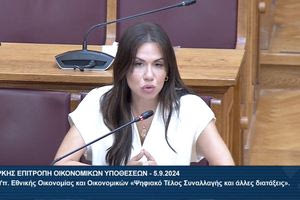 “Βέλη” της Ελένης Βατσινά για τα βάρη στις ΜμΕ επιχειρήσεις και την ελληνική οικογένεια