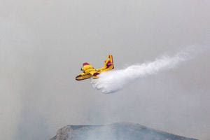 Φωτιά τώρα στην Ηλεία – Μεγάλη η κινητοποίηση της Πυροσβεστικής