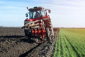 Δασμοί Τραμπ και αγροτική οικονομία: Πότε θα φανούν τα αποτελέσματα;