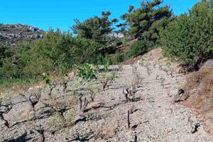 Χθες… σήμερα αύριο 03/09/2024