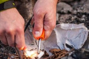 Αθήνα: Φυλάκιση ενός έτους και πρόστιμο 11.500 ευρώ σε άνδρα για φωτιά σε αλσύλλιο