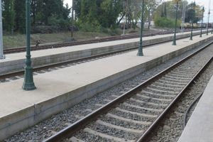 Τρένο παρέσυρε κοπάδι ζώων που εισήλθε στη σιδηροδρομική γραμμή στην περιοχή της Αλιάρτου