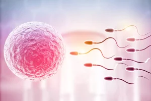 Κύστεις των ωοθηκών: Πότε προκαλούν ανησυχία