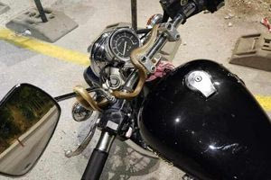 Ηγουμενίτσα: Φίδι τυλίχθηκε γύρω από το τιμόνι της μοτοσικλέτας