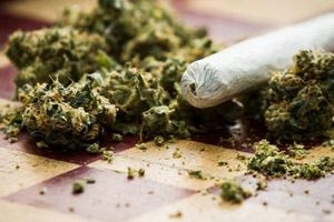 22χρονος συνελήφθη στο Λιμάνι του Ηρακλείου «φορτωμένος» με ποικιλίες κάνναβης