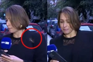 Ρεπόρτερ της ΕΡΤ δέχθηκε «επίθεση» on air από τεράστιο ιπτάμενο έντομο: «Το ζωικό βασίλειο μου έχει μία αγάπη»
