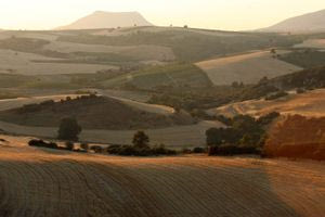 Καταπατημένα Δημοσίου: 60 άτοκες δόσεις με έκπτωση έως και 80% για την εξαγορά τους