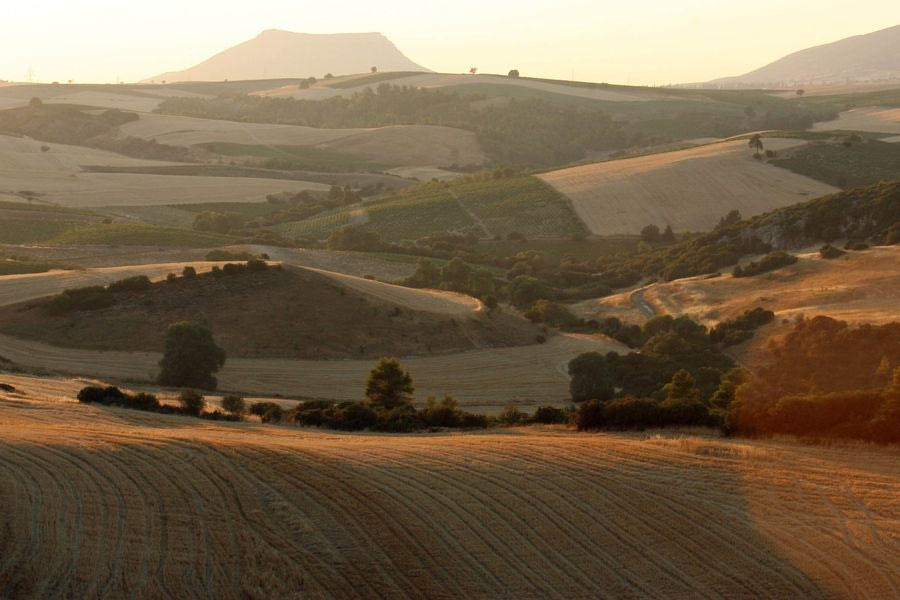 Καταπατημένα Δημοσίου: 60 άτοκες δόσεις με έκπτωση έως και 80% για την εξαγορά τους