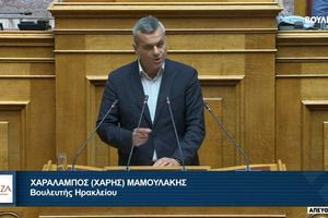 Χάρης Μαμουλάκης για ΒΟΑΚ: Γιατί η Κυβέρνηση εξακολουθεί να κρύβει τα παραρτήματα της σύμβασης;