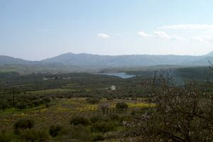 Εκδήλωση «ΑΡΚΑΔΕΙΑ 2024» – Στρατηγικό Σχέδιο για το Ίνι του 2030