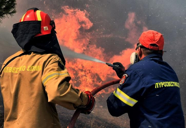 Αναζητείται ένας κτηνοτρόφος για τη φωτιά στη Βόνη