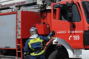 Πυρκαγιά στη Νύβριτο: Ισχυρές δυνάμεις και εναέρια μέσα για την κατάσβεση της φωτιάς