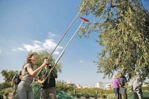 Ψάχνουν φοιτητές για ράβδισμα!