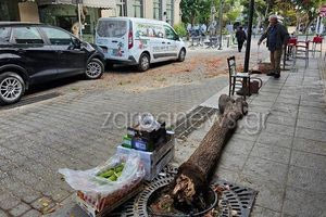 Χανιά: Φορτηγό έριξε δέντρο στο κέντρο της πόλης