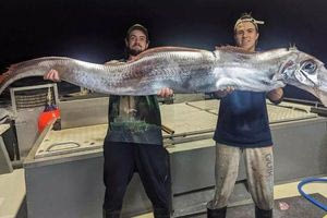 Ψαράδες έπιασαν το «ψάρι της Αποκάλυψης»!