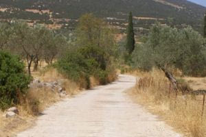 Eντοπίστηκε νεκρός σε αγροτικό δρόμο – Τον βρήκε τυχαία διερχόμενος οδηγός