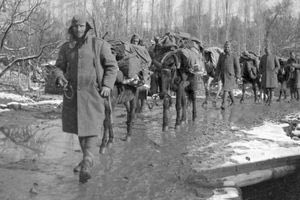 Εκδήλωση τιμής και μνήμης για τους αφανείς ήρωες του Αλβανικού Μετώπου