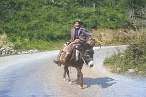 Άνδρας πάνω σε γαϊδούρι 1960