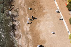 ΔΕΗ – Project Paralies: Συνεργασία για τον καθαρισμό και την προστασία 50 ελληνικών παραλιών