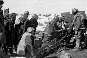 Ο Σκινιάς στον Ελληνοϊταλικό πόλεμο (1940-1941)