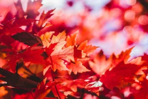 Καιρός: Έρχεται φθινόπωρο διαρκείας – Αναμένονται βροχές στη Κρήτη